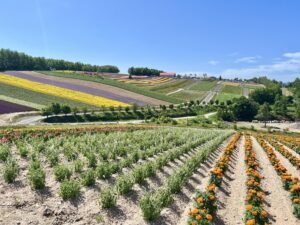 Walta Electronic team building