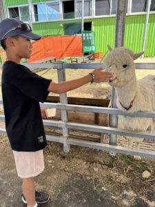 Walta Electronic team building